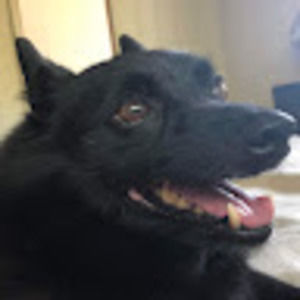 Meet your Posher, Evangelina